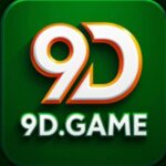 9d game